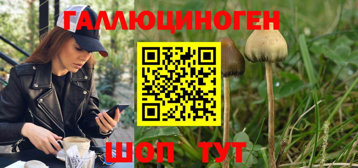 Галлюциногенные грибы мухоморы  Галлюциногенные грибы Psilocybe  Вход с VPN  Лениногорск 