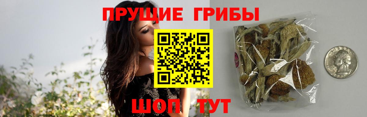 Меф МЯУ МЯУ кристаллы  Конопля  Гашиш  Лениногорск  MDMA  Вход с VPN  Кокаин  Alpha PVP СОЛЬ   Купить наркотики 